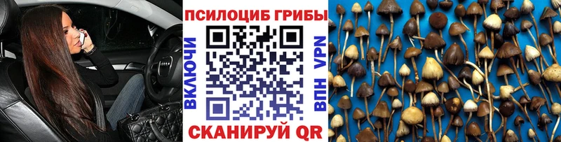 hydra ССЫЛКА  купить наркотик  Верхняя Салда  Галлюциногенные грибы GOLDEN TEACHER 
